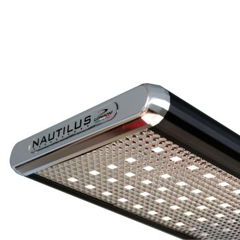 Longoni Nautilus Smart  LED 9ft. 4